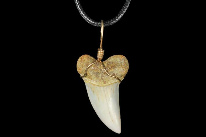 Fossil Mako Tooth Necklace - Bakersfield, California #130880